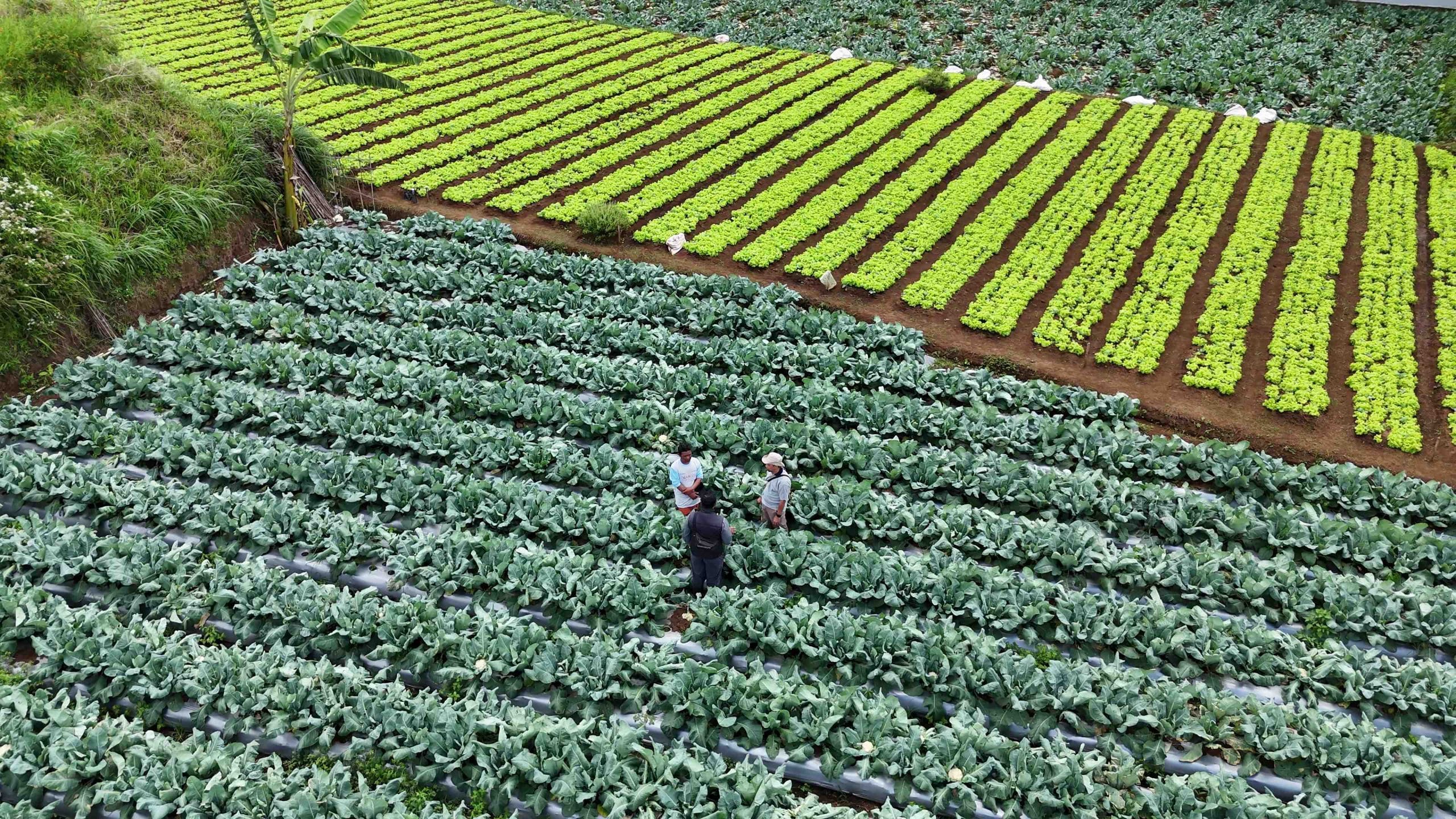 vlcsnap-2025-02-11-14h44m51s488